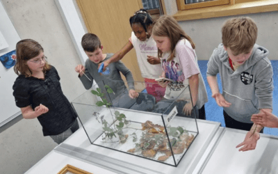 Bionik im MINT-Campus: Lernen von der Natur mit Stabheuschrecken