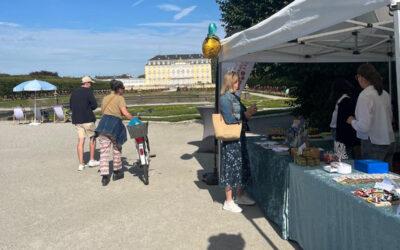 Zwischen barocker Kulisse und Klimazukunft: Erster Meilenstein des geförderten Schulprojekts im Brühler Schlosspark